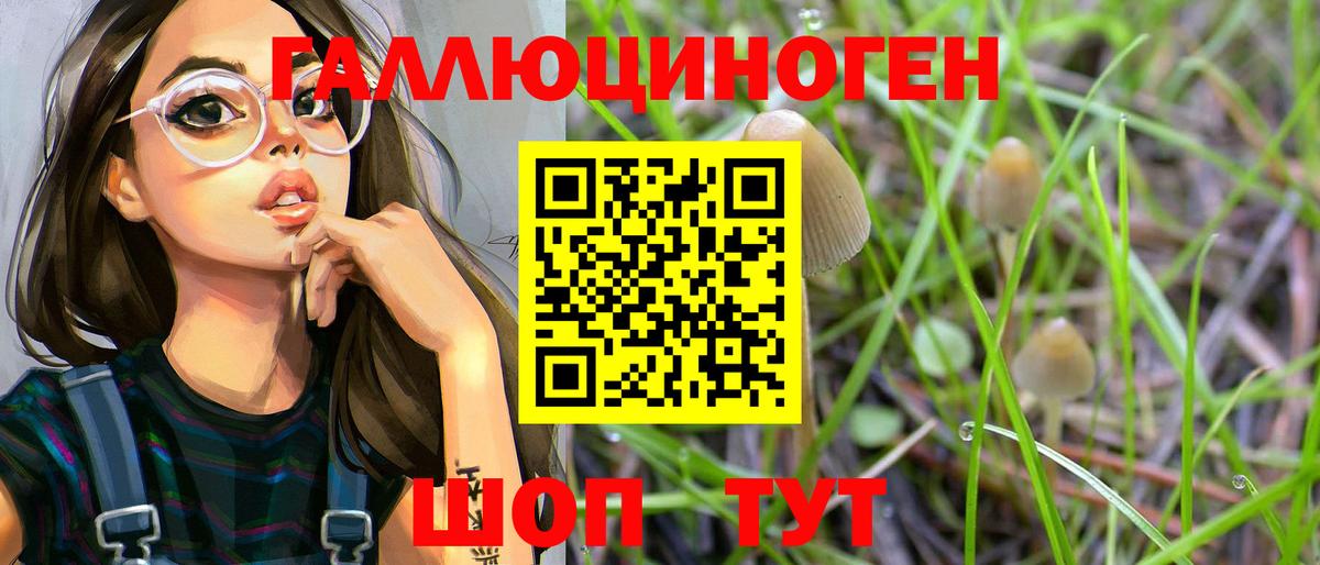 Псилоцибиновые грибы Magic Shrooms  Галлюциногенные грибы GOLDEN TEACHER  Белово  Вход с VPN 